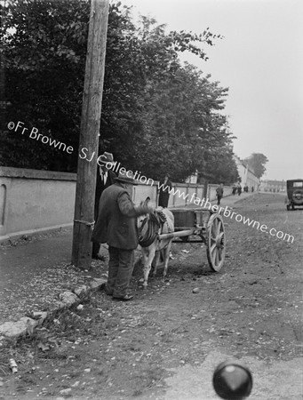 OLD MEN  DONKEY AND CART